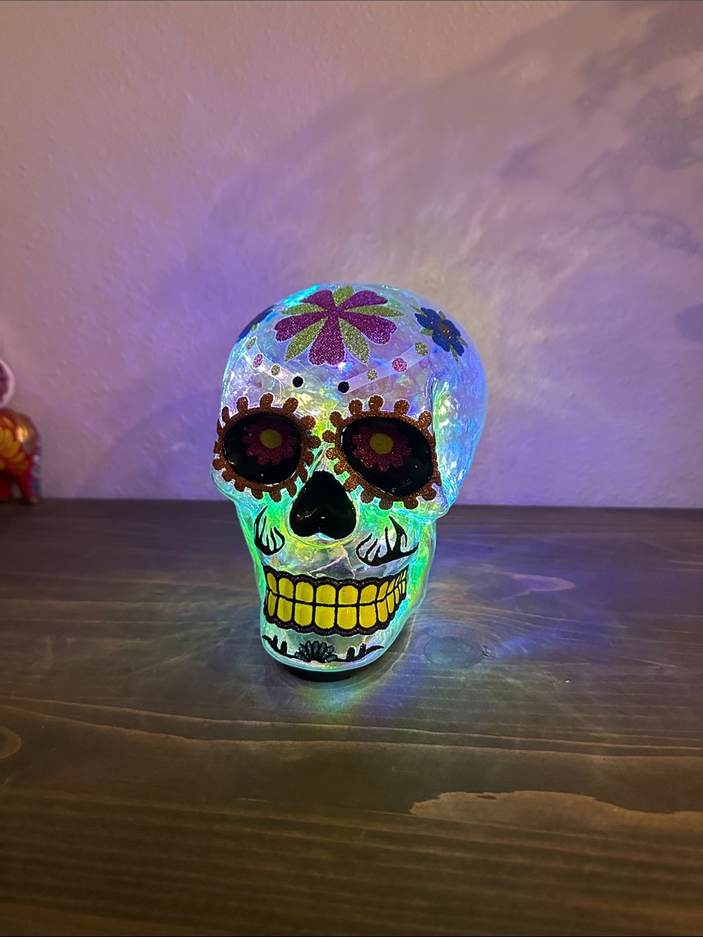 Hand-Painted Day of the Dead Decorative Skull - Multicolor